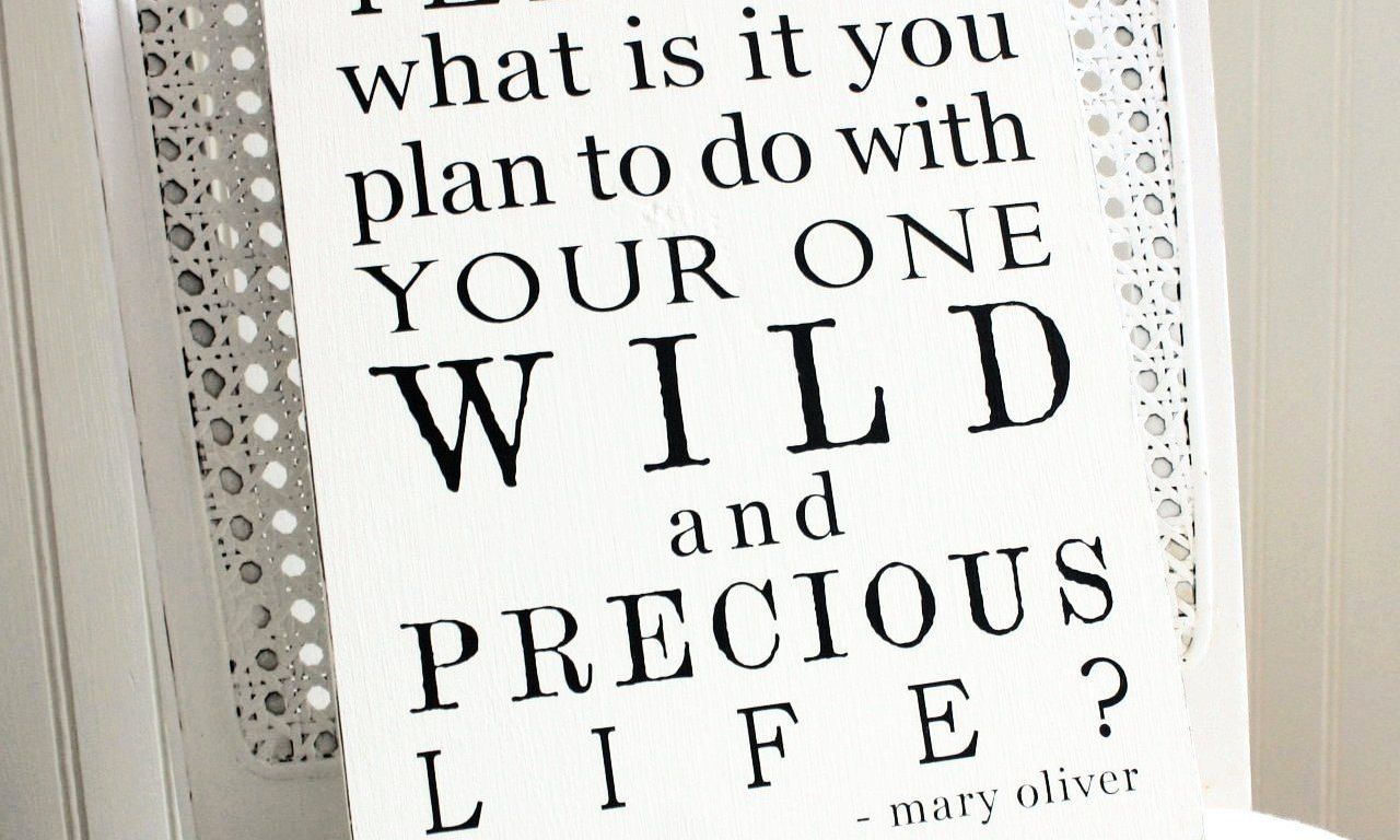 an image of an open, coil-bound notebook, white, sitting on a white table against a white background with the Mary Oliver quote, "tell me, what is it you plan to do with your one wild and precious life?"